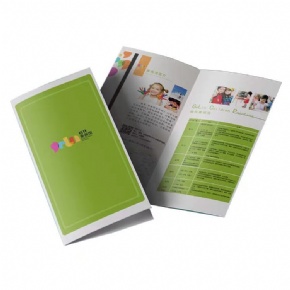 Printing Factory Wholesale Custom Folding Brochure