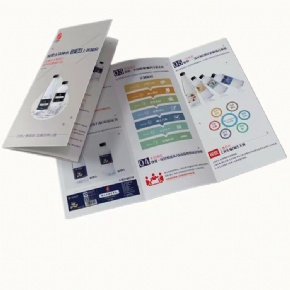 Printing Factory Wholesale Custom Folding Brochure