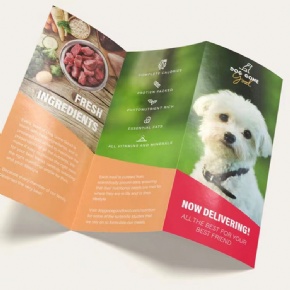 Factory Custom Tri Fold Brochure Printing