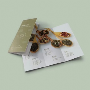 Factory Custom Tri Fold Brochure Printing