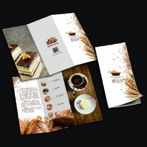 Factory Custom Tri Fold Brochure Printing